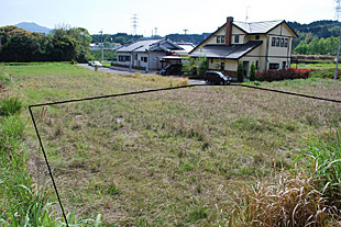 外観・敷地全景