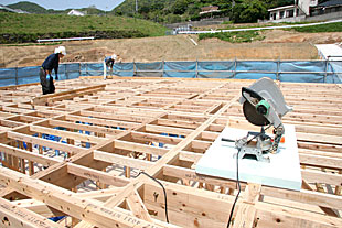 外観・小屋裏構造